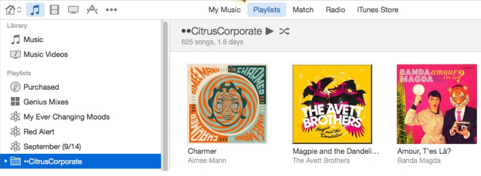 iTunes Application