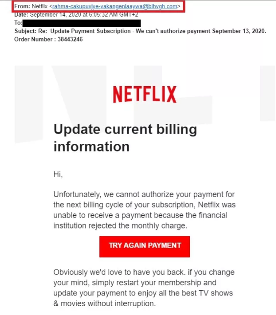 Netflix Email Scam