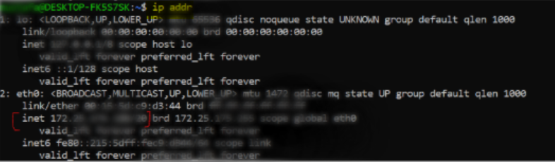 check your IP address on Linux
