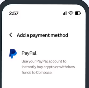 choosing PayPal payment method