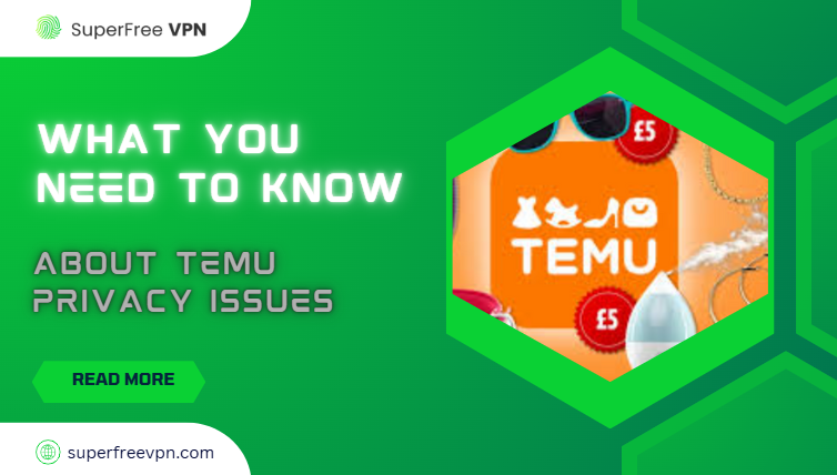 Temu app privacy concerns