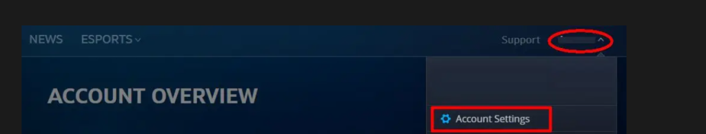 battle.net account settings