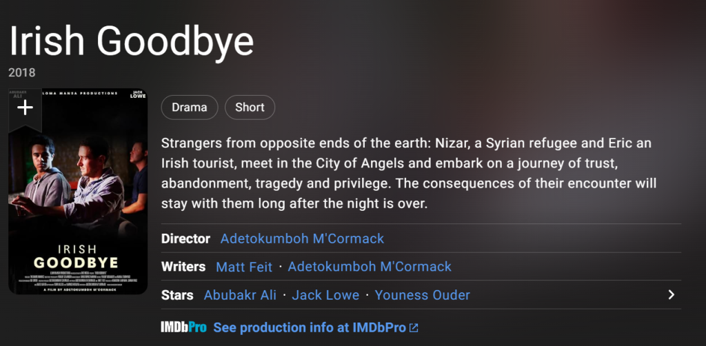 watch Irish Goodbye on RTE player